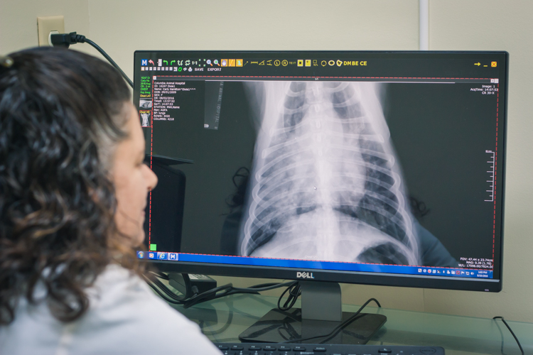 digital radiography